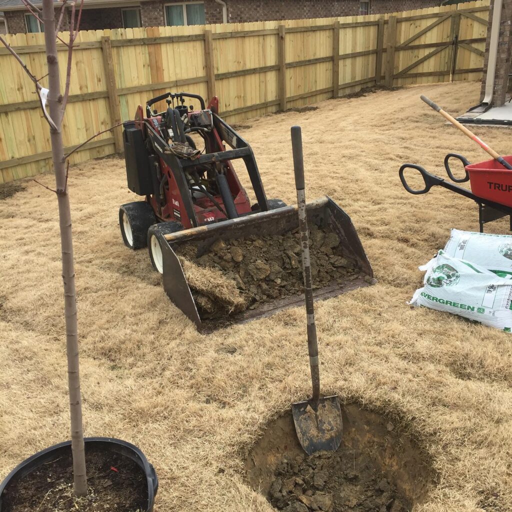 Planting trees in backyard.