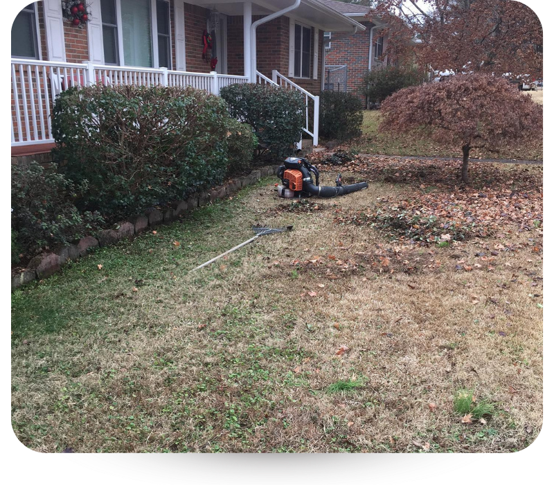 Front yard of house with bushes 